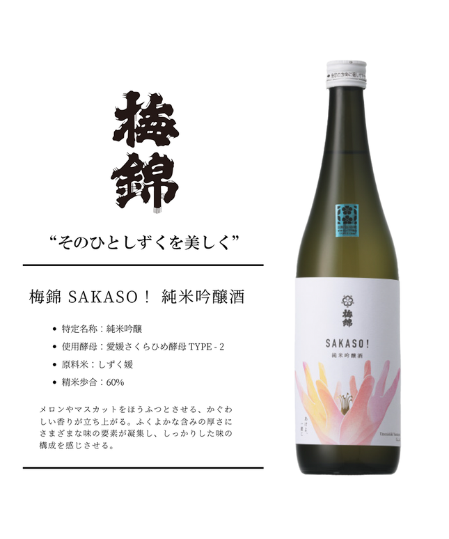 梅錦 SAKASO！ 純米吟醸酒